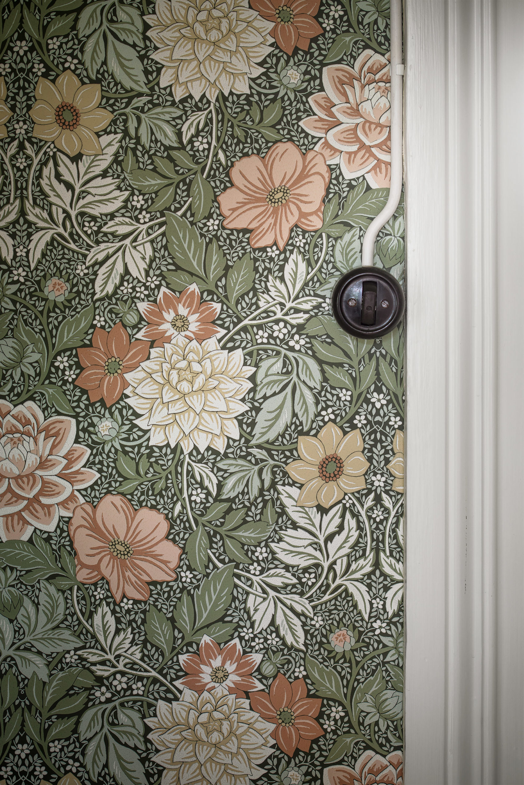 DAHLIA GARDEN - Imagen 4