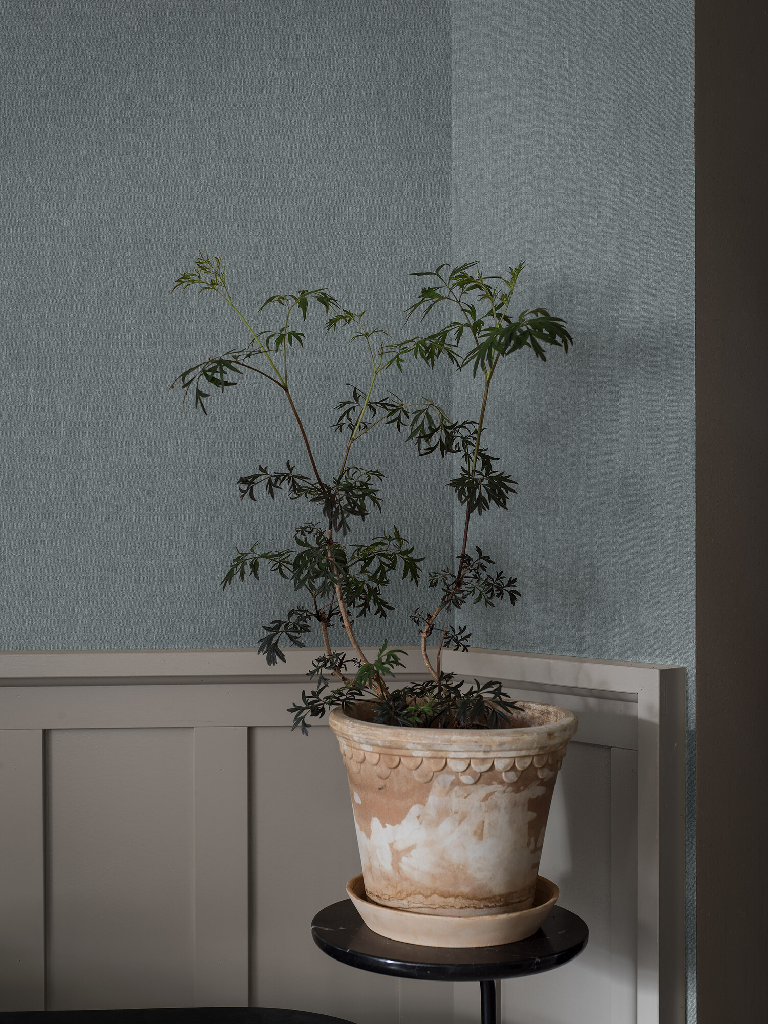 DUSTY DENIM - Imagen 4