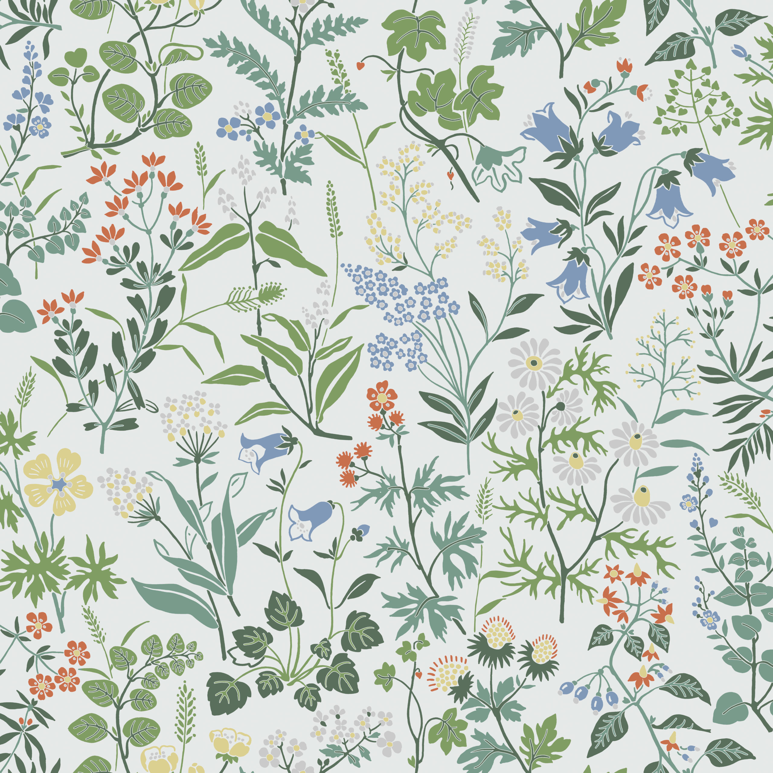 FLORA