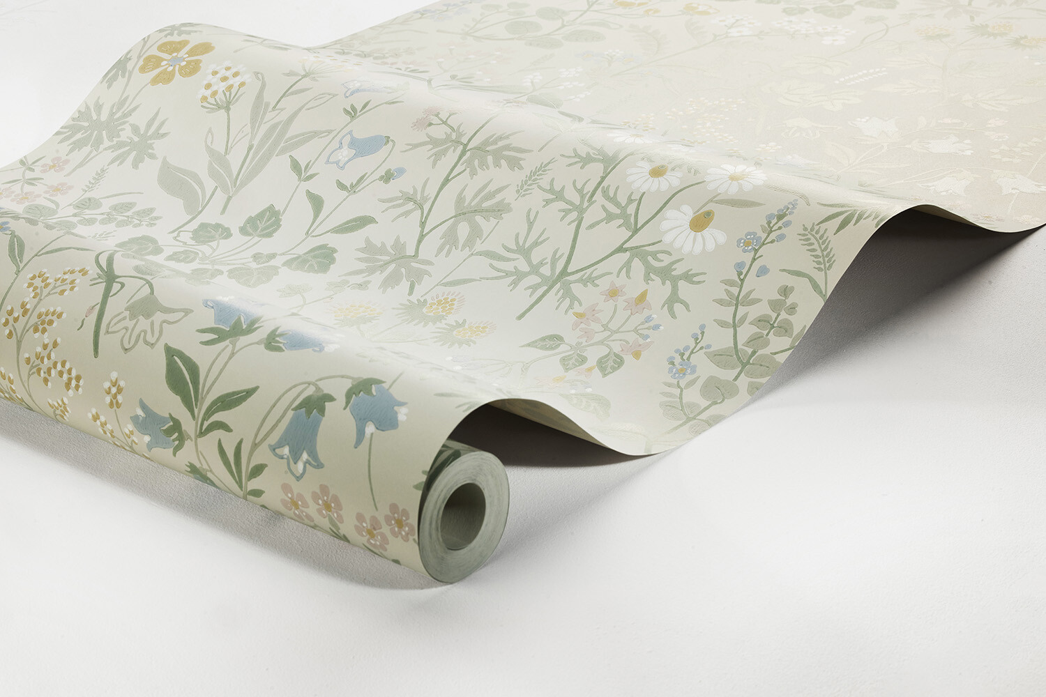 FLORA - Imagen 5
