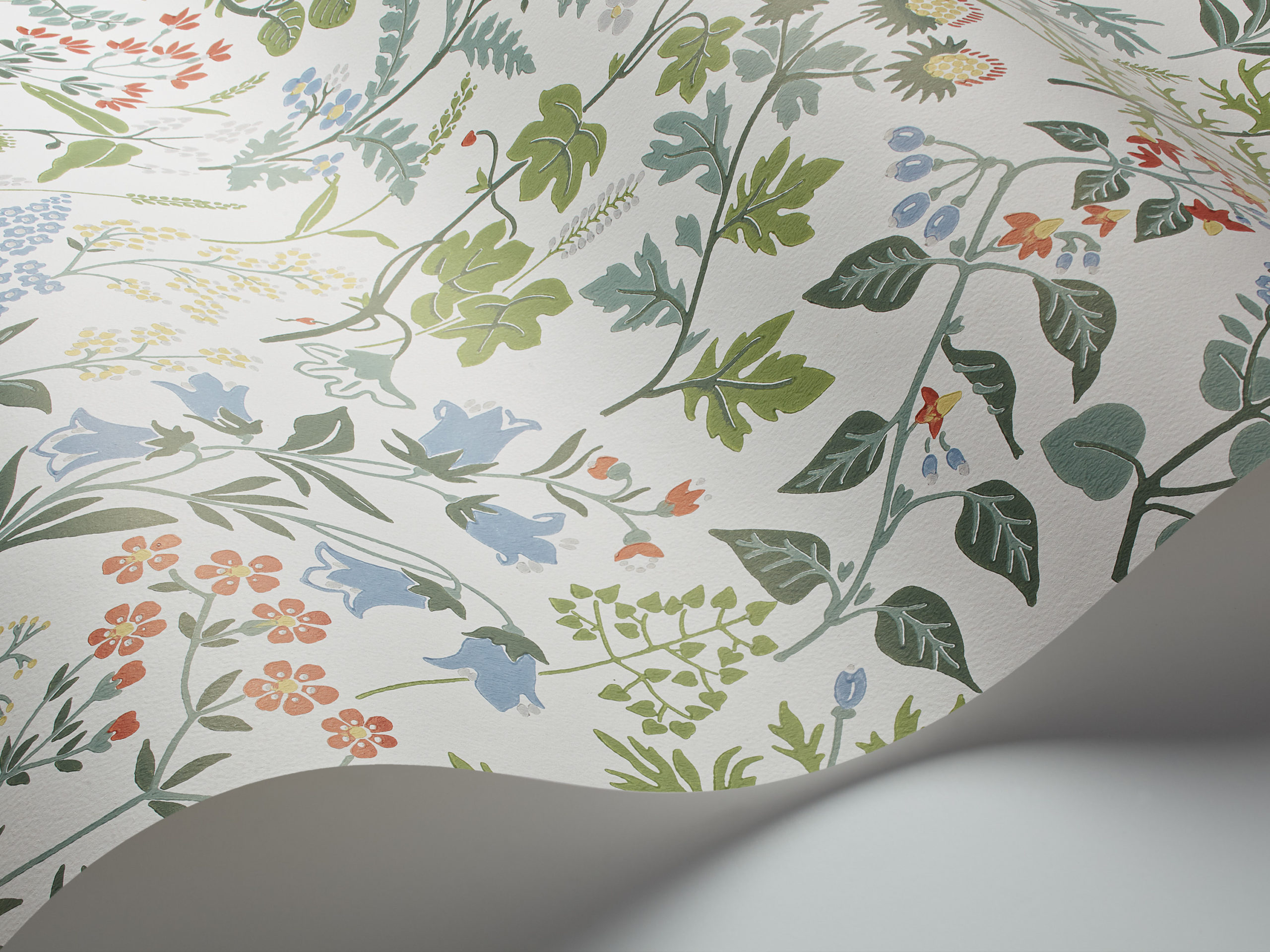 FLORA - Imagen 4