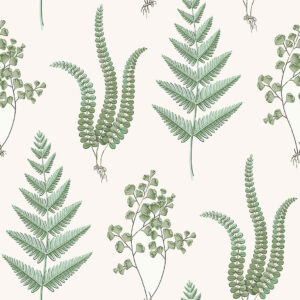 HERBA