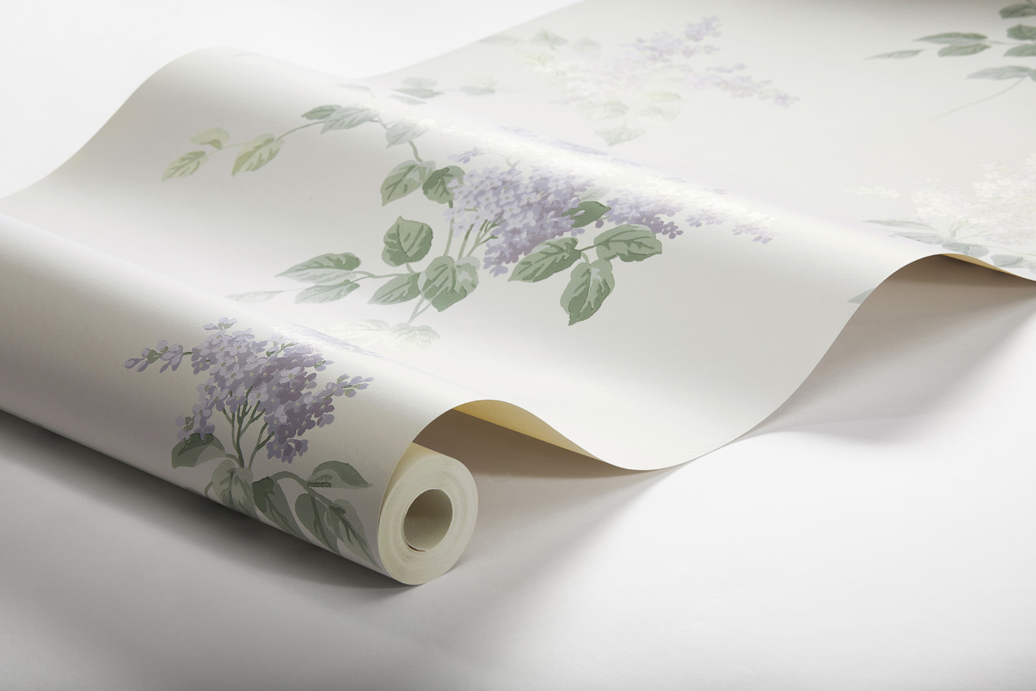 LILACS - Imagen 4