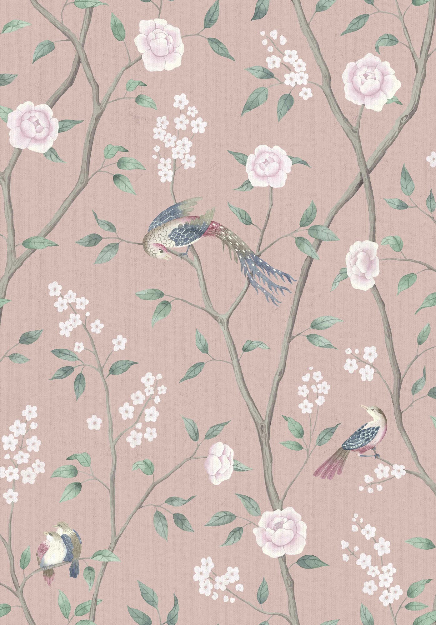 PARADISE BIRDS