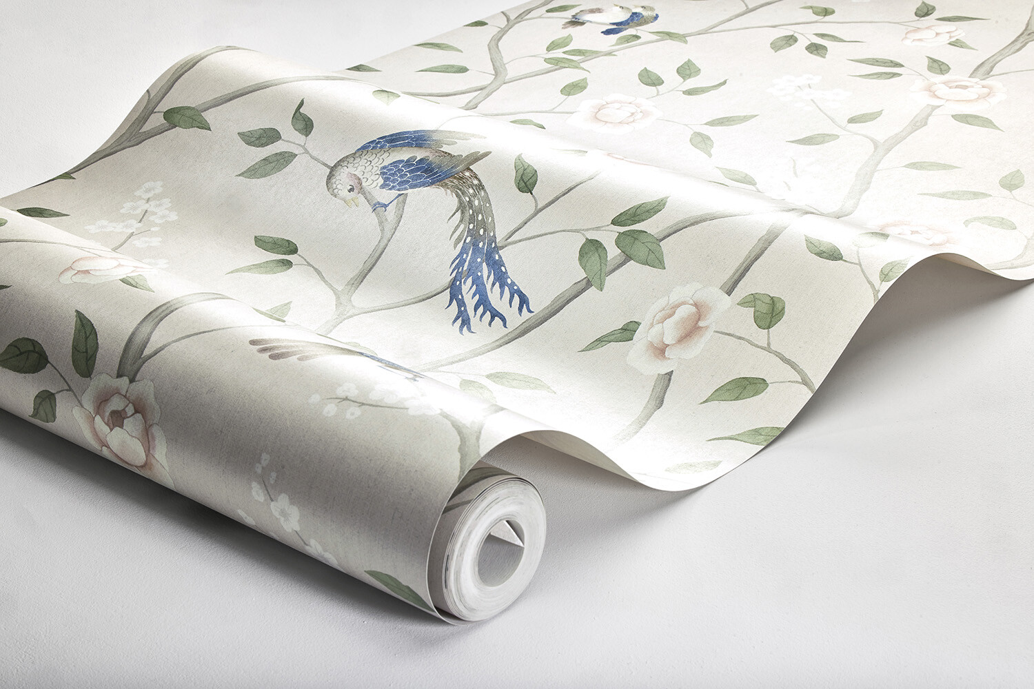 PARADISE BIRDS - Imagen 5