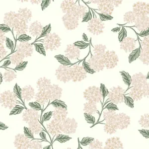 Hydrangea