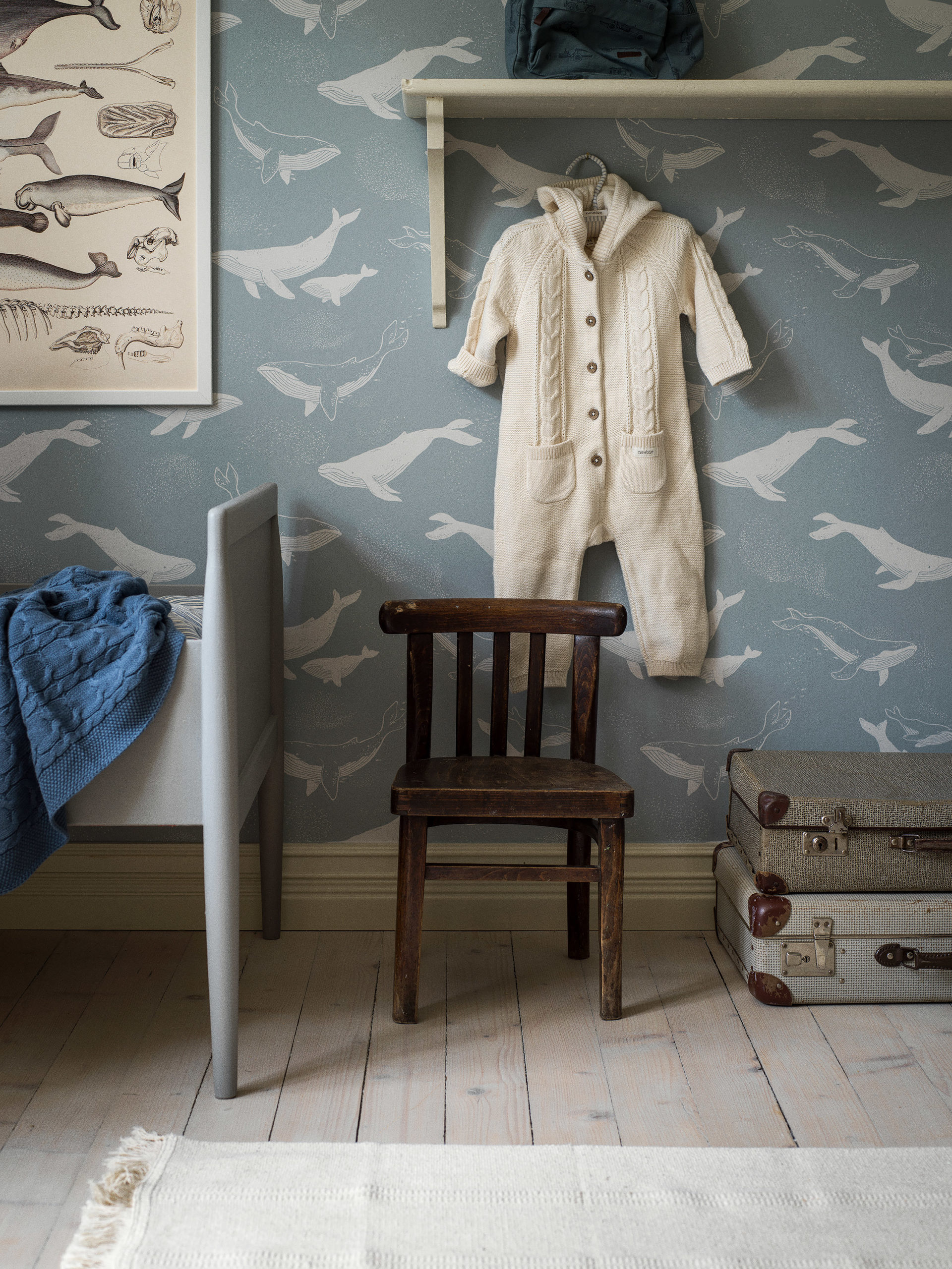 WHALES - Imagen 2