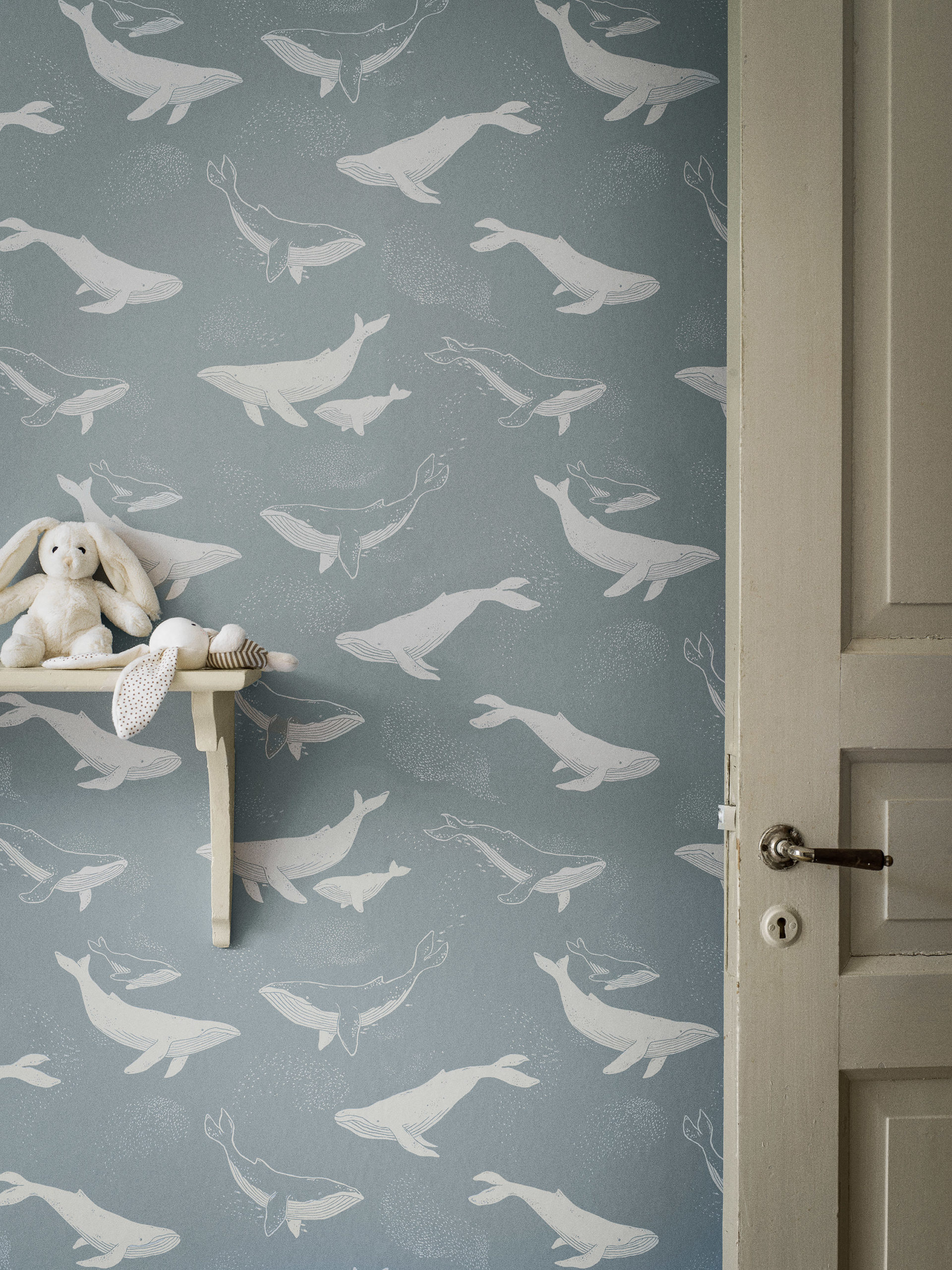 WHALES - Imagen 3