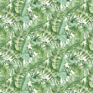 Baja Green
