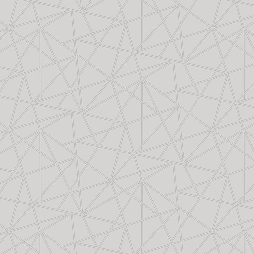 OMEGA GREY AND SILVER