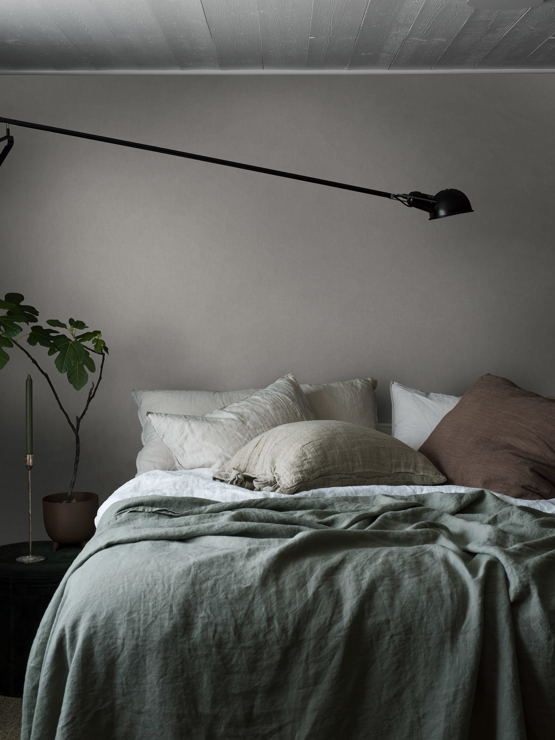 ASH GREY - Imagen 2