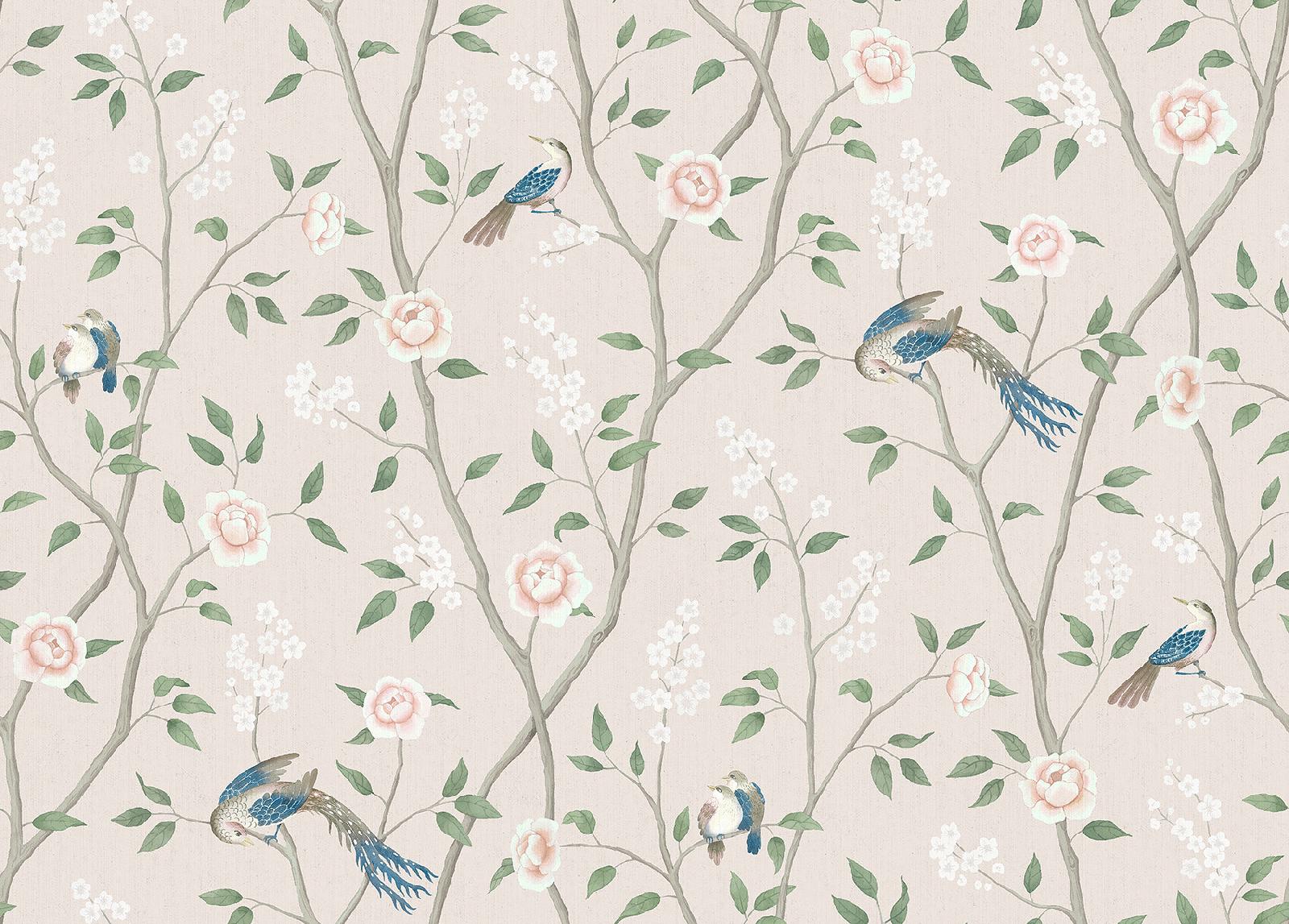 PARADISE BIRDS - Imagen 2