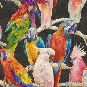 PARROTS MULTI